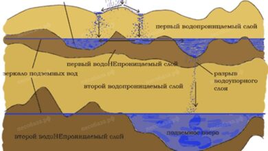 Photo of Что такое Аква-горизонт.рф и его основные направления деятельности